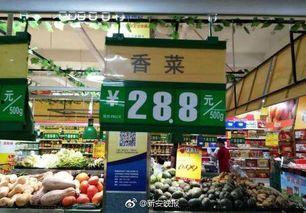 寿光市吃瓜娱乐工作室,揭秘瓜界风云,畅享欢乐时光